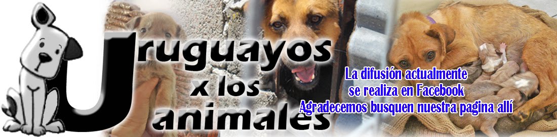 Uruguayos por los Animales