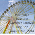 Summer Carnival Blog Hop !