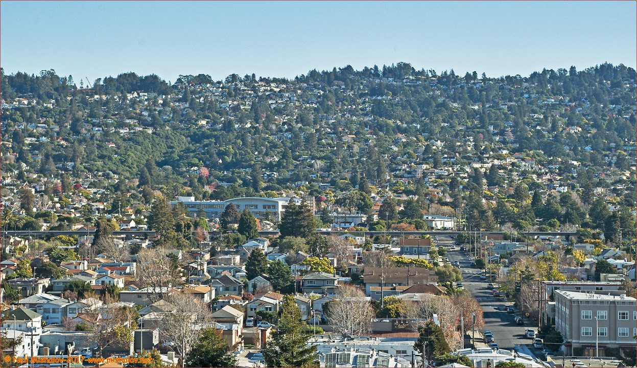 San Francisco Bay Area Photo Blog Albany Hill in Albany California and