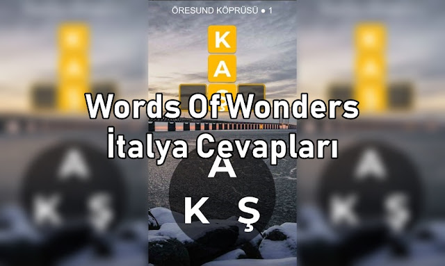 Words Of Wonders italya Cevaplari