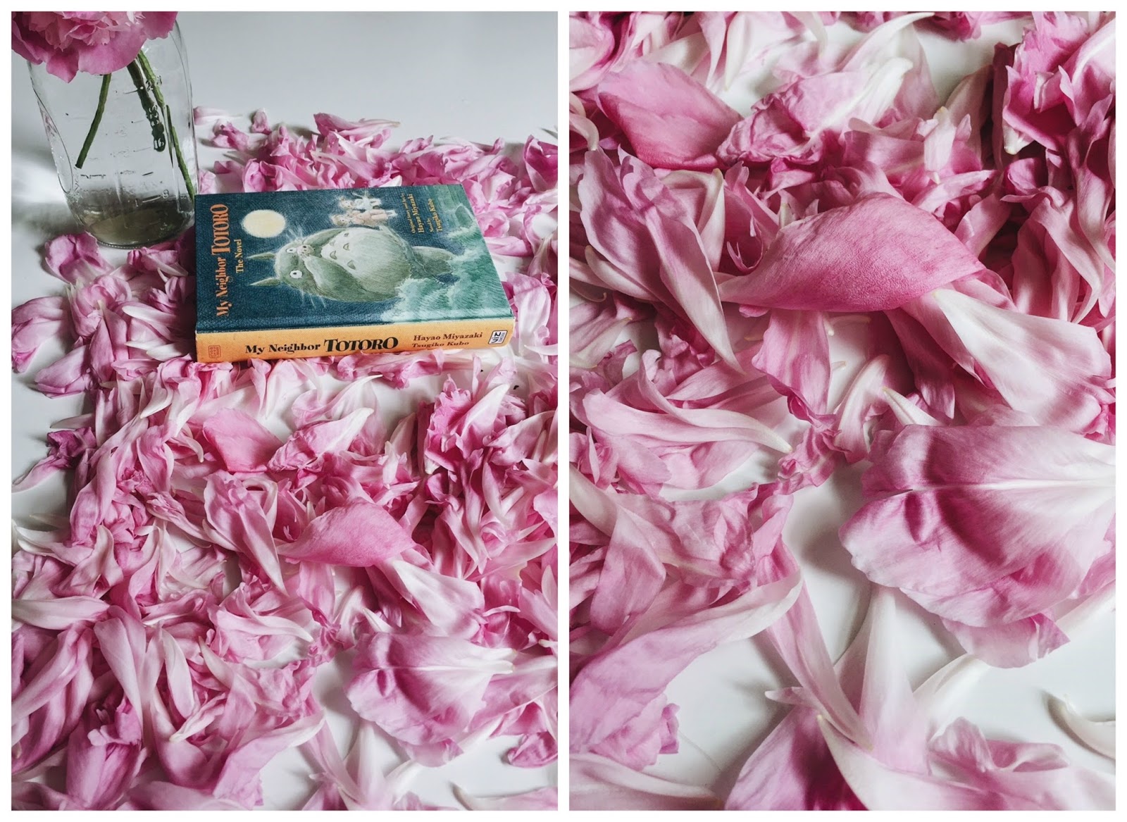 My Ugly Mound Gets A Southern Living Makeover The Dirt Diaries