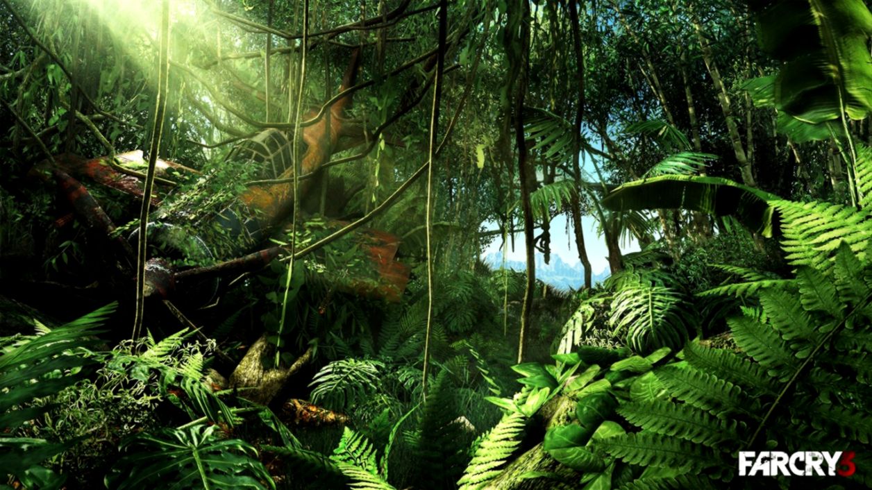 Jungle Wallpaper Hd 1080p | All Wallapers