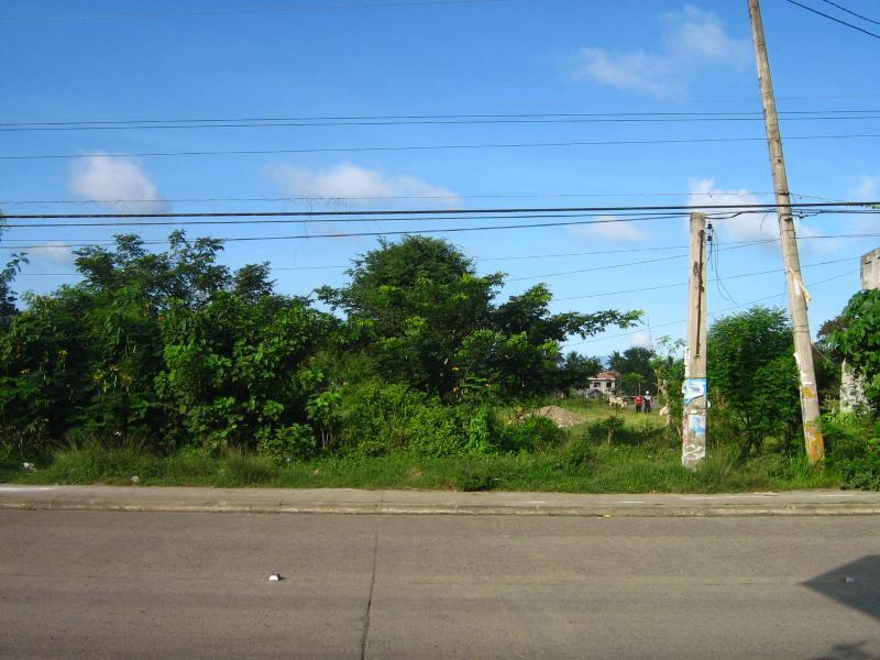 House and lots for sale HOUSE & LOT at El Rio Vista, Bacaca Road