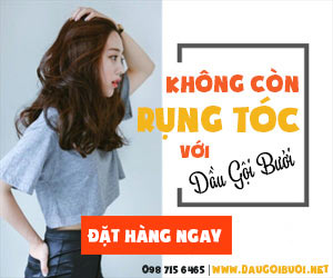 mua dau goi buoi