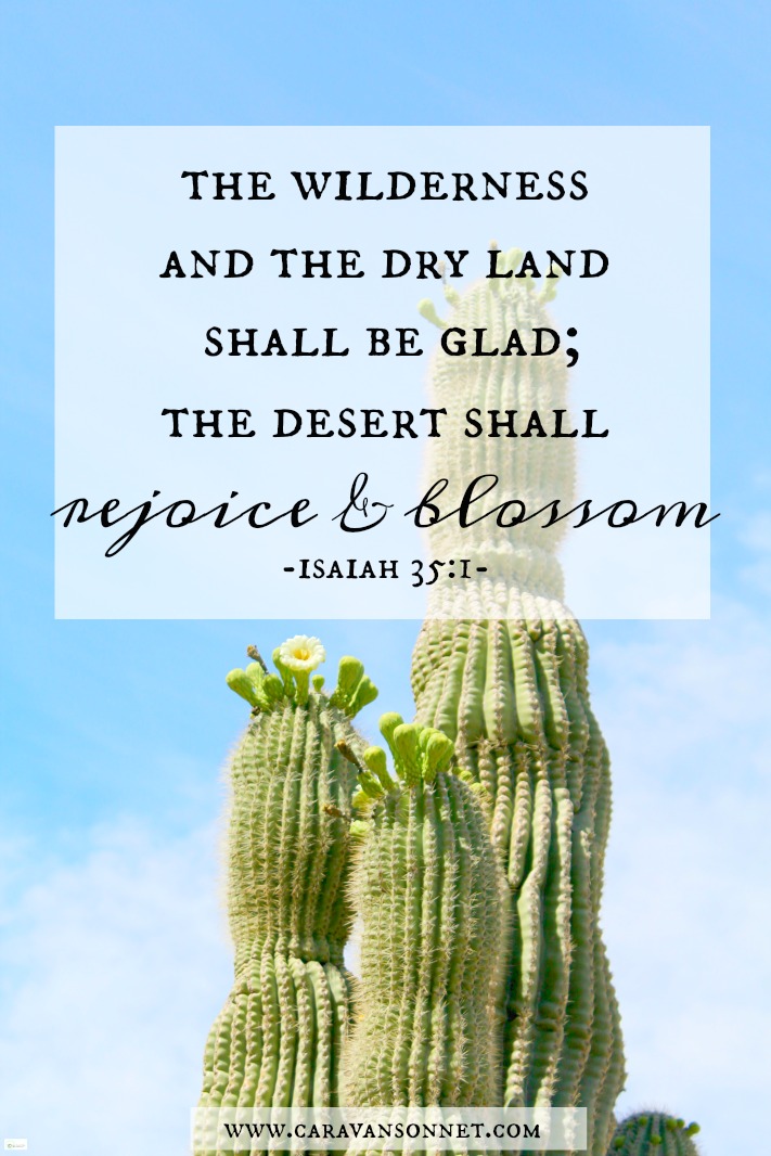Sunday Scripture Eleven Isaiah 35 1 Caravan Sonnet isaiah-35-10-so-the-redeemed-of-the-lord-will-return-and-enter-zion