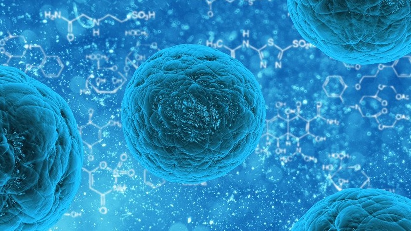 Ringiovanire le cellule umane: sensazionale scoperta scientifica sul Ringiovanimento | Scienza News