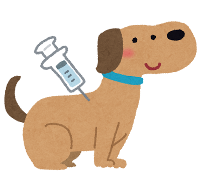 犬の予防注射のイラスト