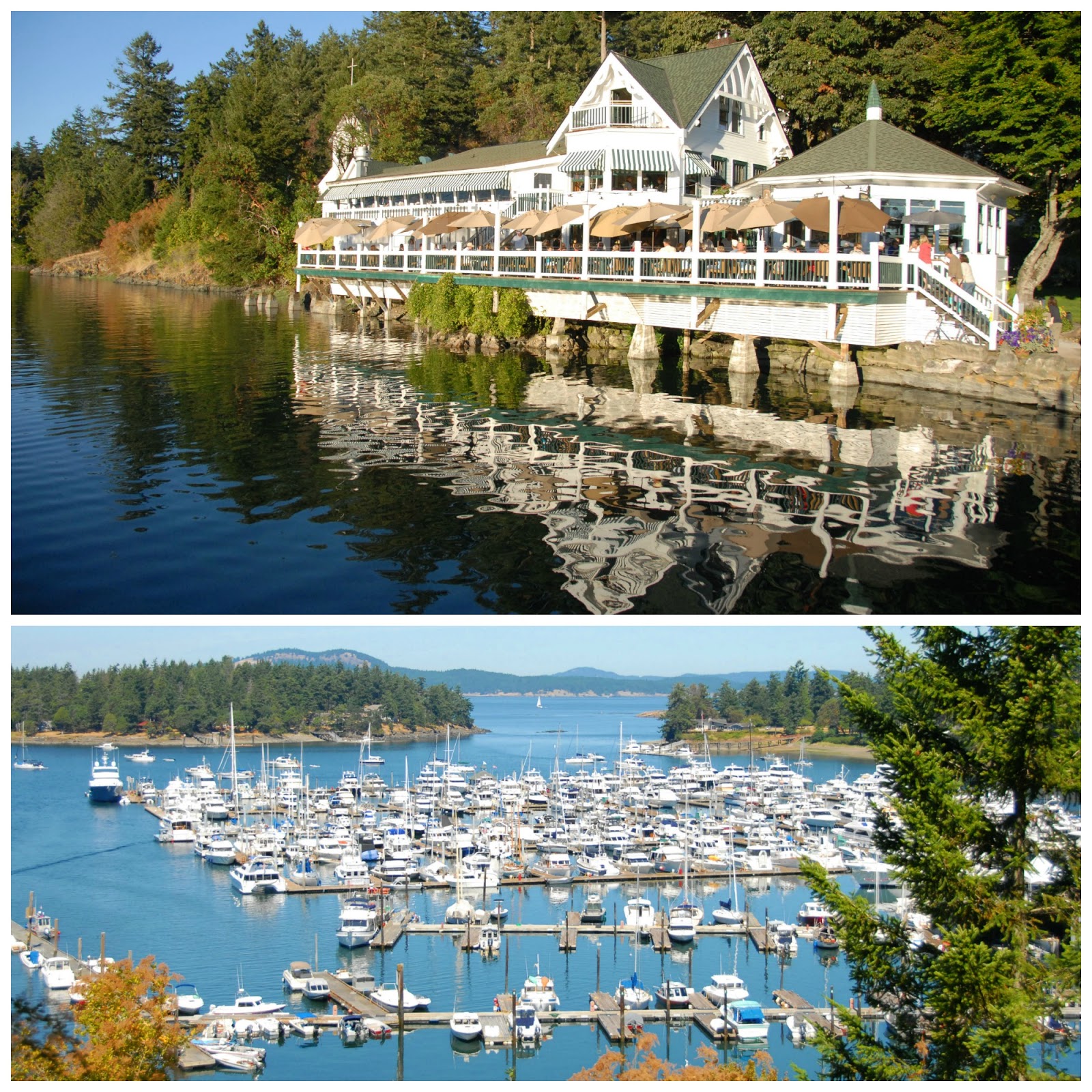 Shannon Sews Trip to the San Juans Day 2 Part 2 Roche Harbor