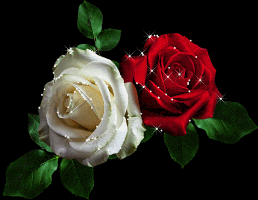 4948ed4ae96accea3ad456535e014896.gif