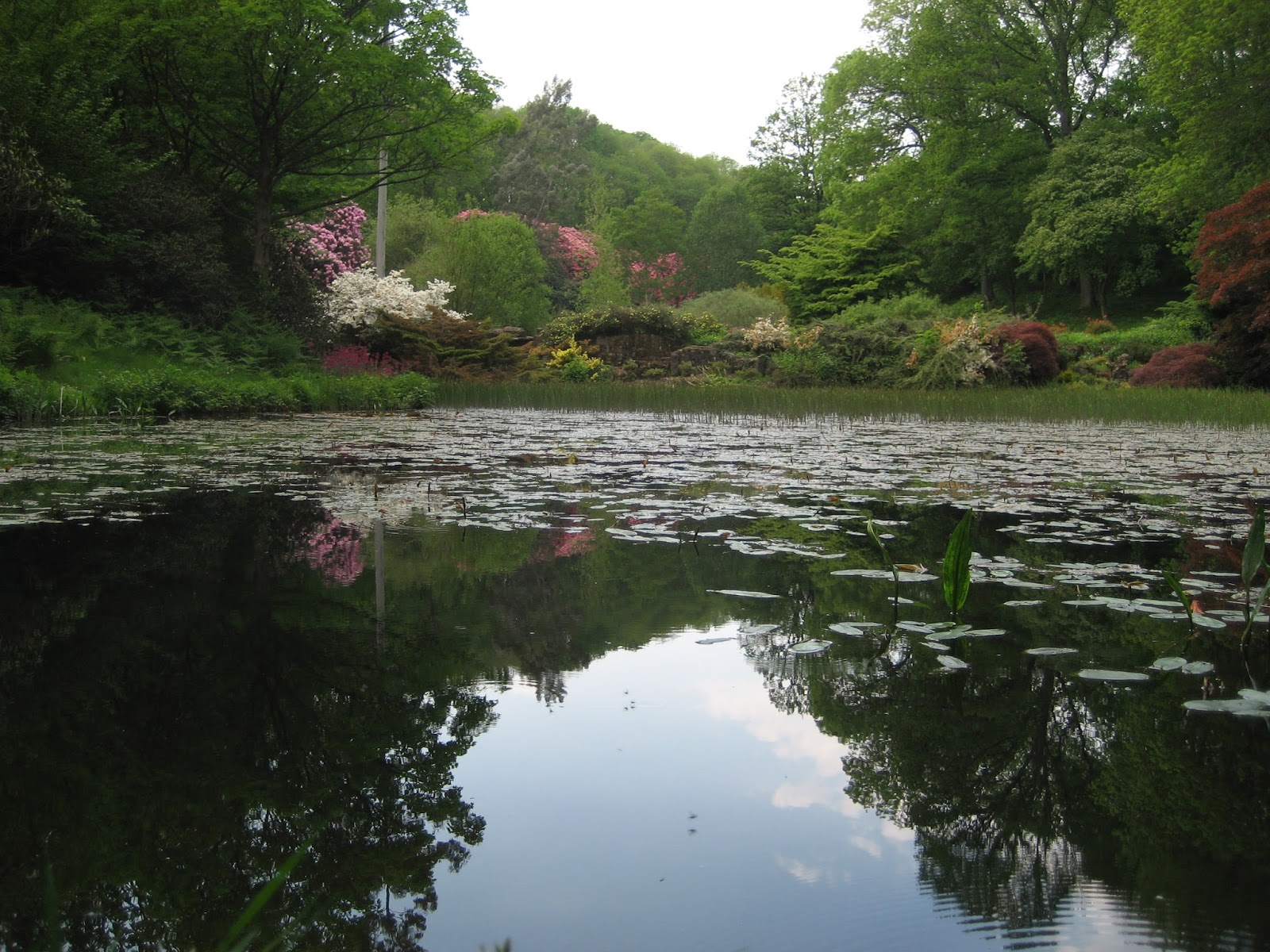 View from the Big Hills Lydney Park a hidden gem from