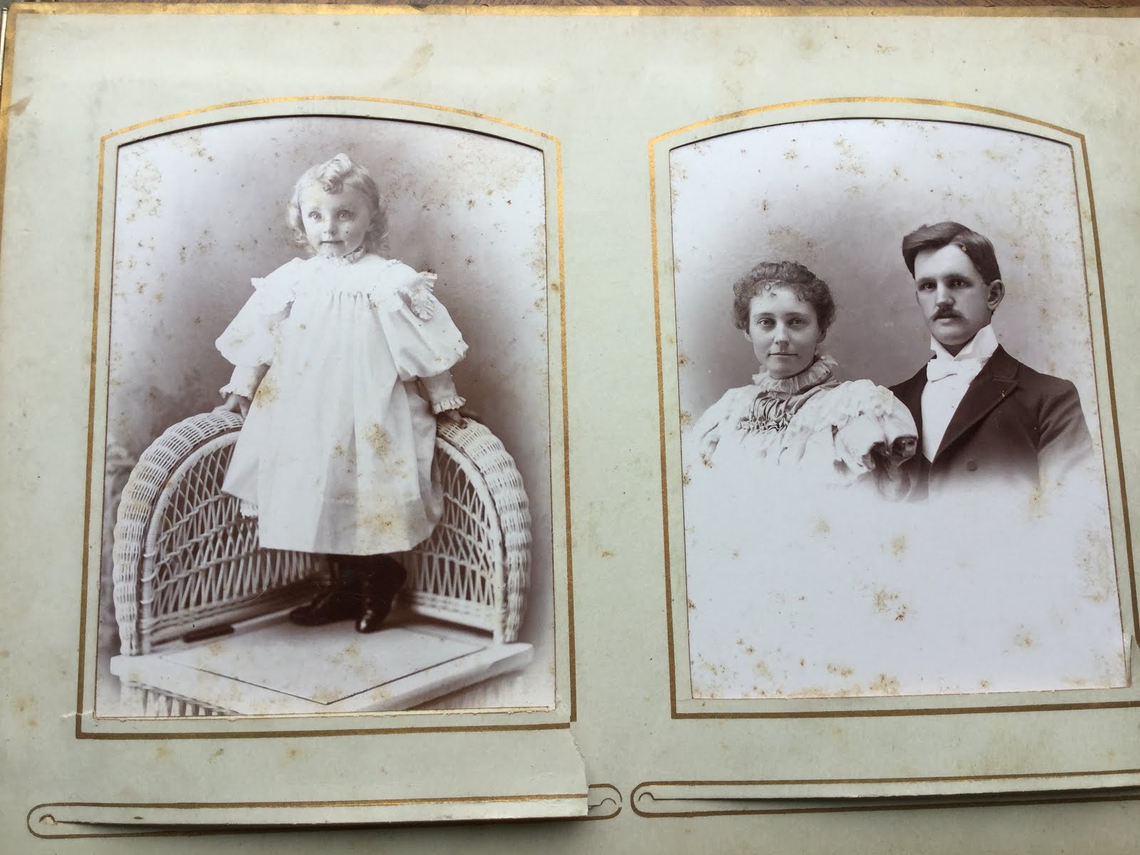 Betty's Boneyard Genealogy Blog The Family of David Bryden & Julia Ann