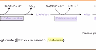 KNOWLEDGE PENTOSURIA