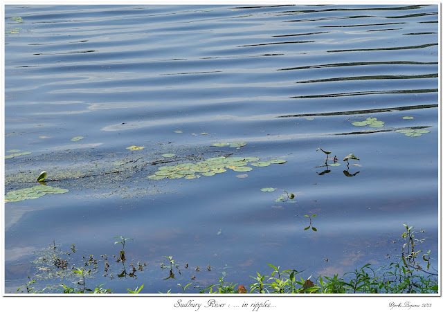 Sudbury River: ... in ripples...