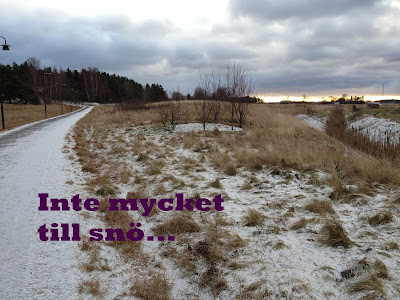 inte+mycket+sn%25C3%25B62 - Snöyra på promenaden