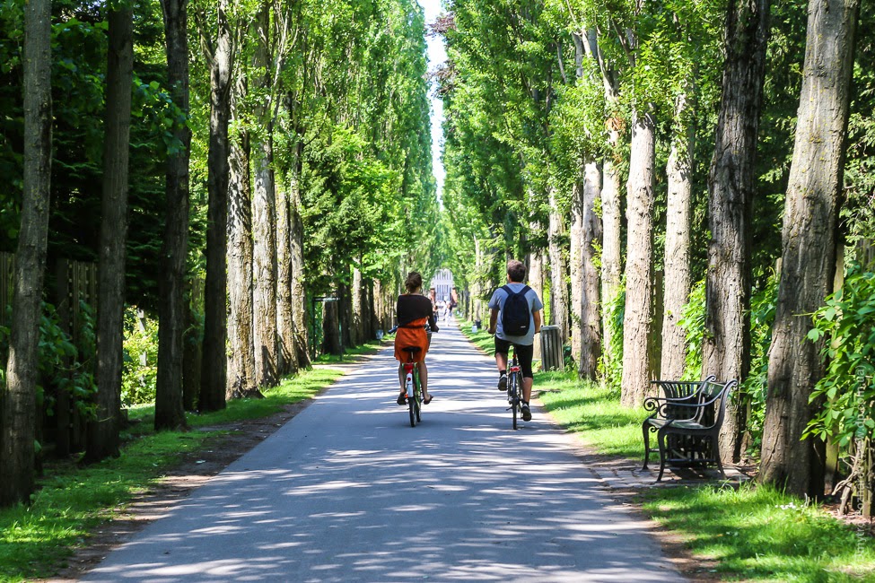 Копенгаген велосипедный город