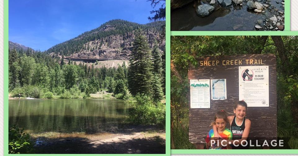 Nutrition and Weight Management Centers Nature's Gym