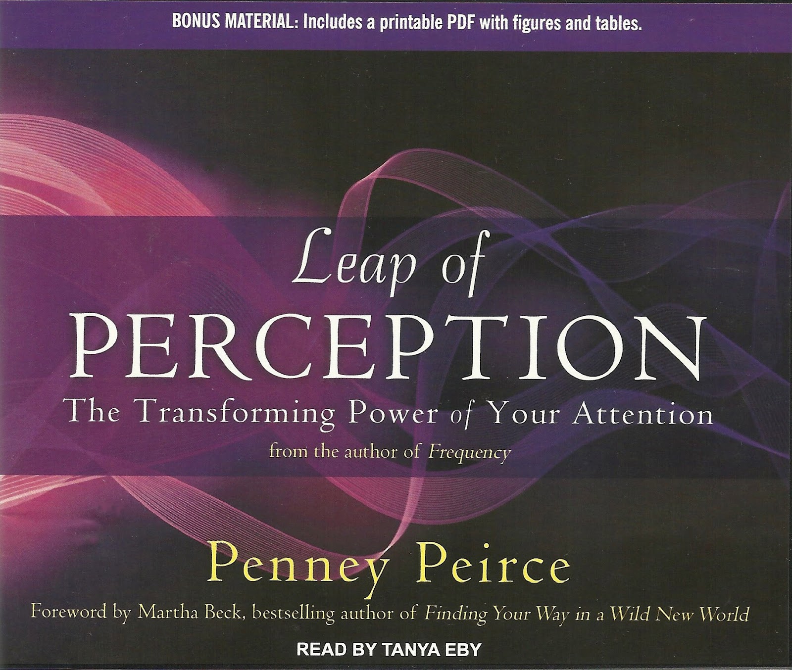 leap of perception penney peirce
