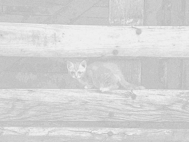 Random Thoughts: June 2012