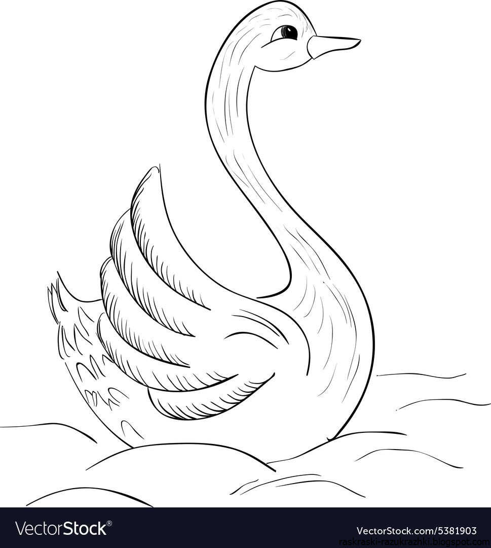 Нарисовать рисунок лебедушка. Лебедь сбоку рисунок. Лебедь рисунок для детей. Лебедь раскраска. Лебедь раскраска для детей.
