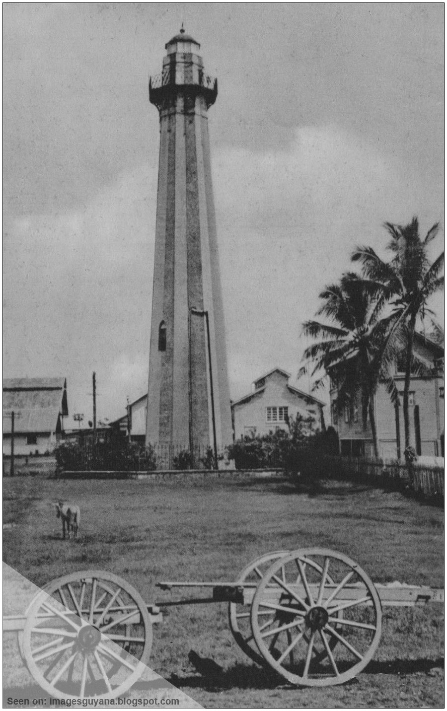 ImagesGuyana The Lighthouse