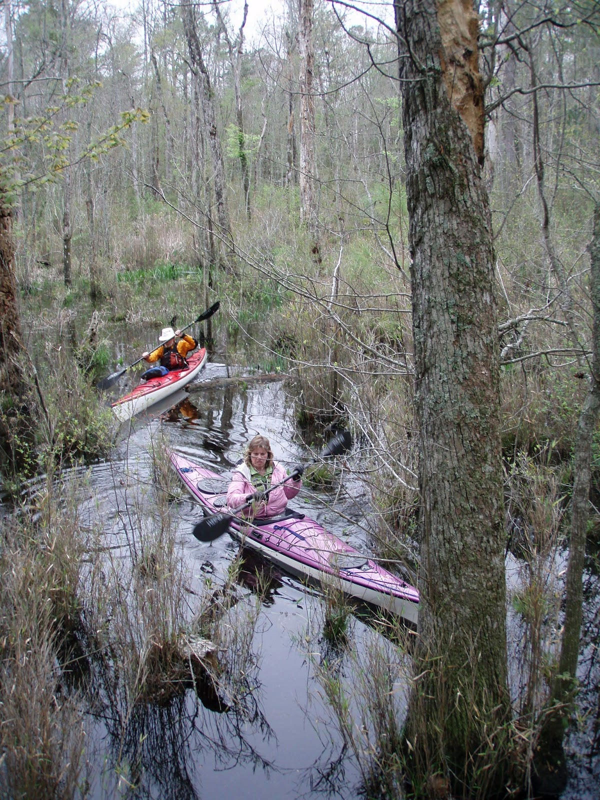 NORTH CAROLINA kayaking