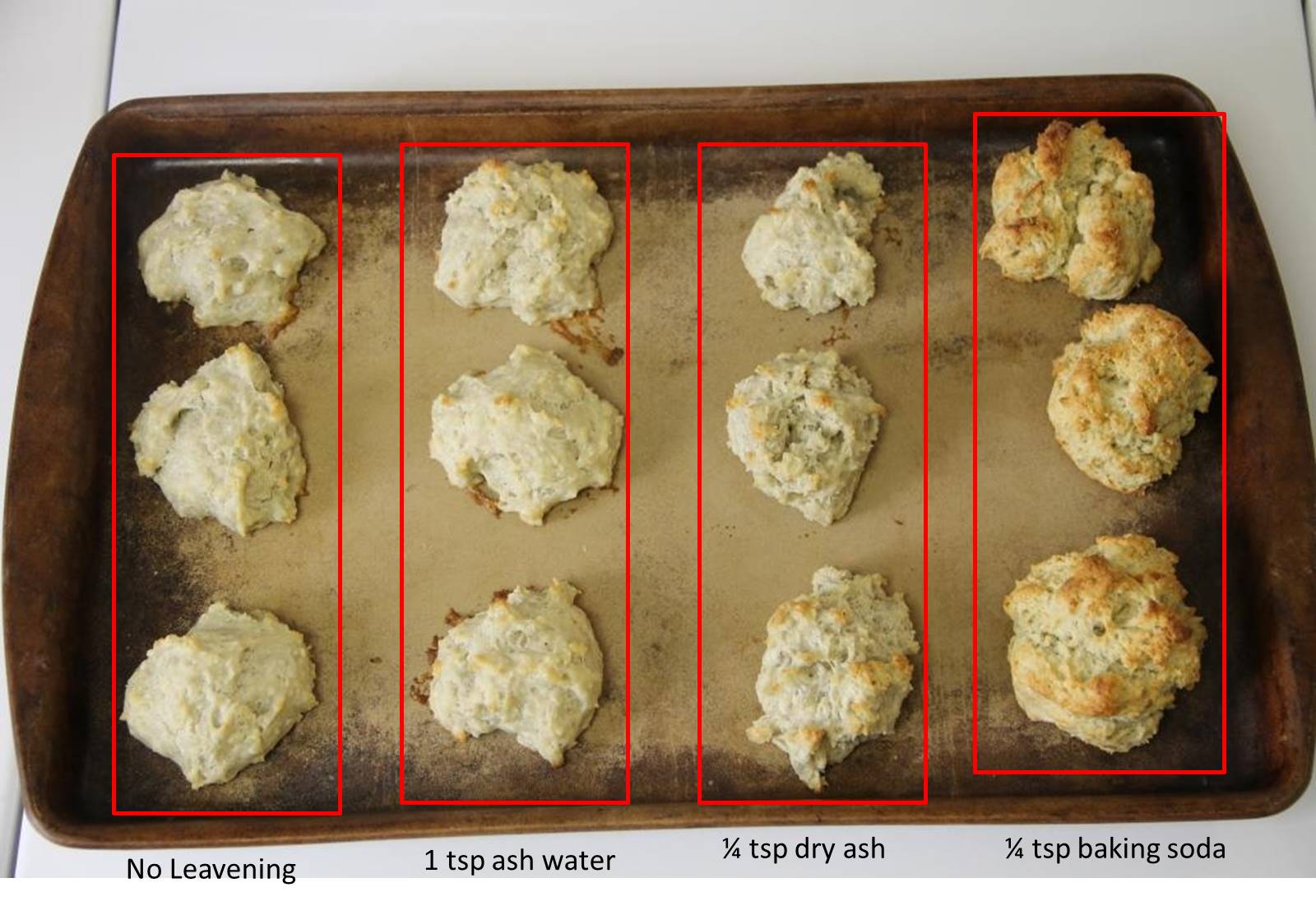 The Homestead Laboratory Wood Ash LeaveningBiscuit Baking Time!