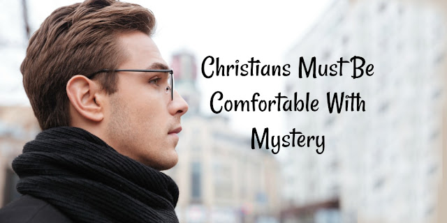 I used to wish I could fully understand God. I was uncomfortable with mystery. Then someone told me something that totally changed my point of view. This 1-minute devotion explains.