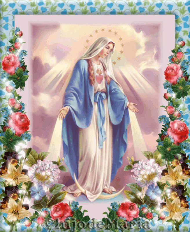 0 Result Images of Imagen De La Virgen De Lourdes - PNG Image Collection