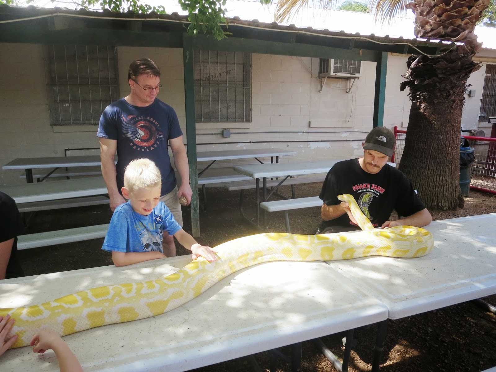 Animal World And Snake Farm Zoo