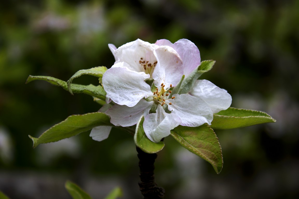 En el Monumento Natural Playa de Vega y Desfiladero de Entrepeñas