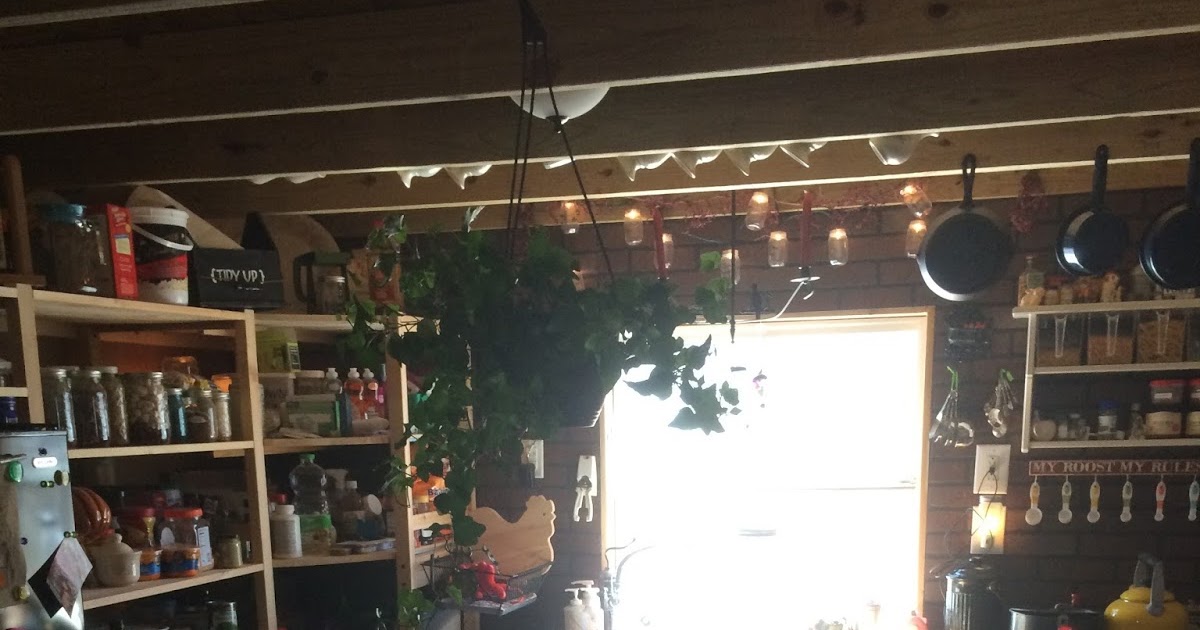 Tiny House Homestead: Look inside my Shed Made into a Tiny House