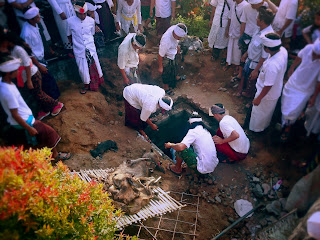 Mendem Pedangingan As The Final Stage Of Ngeteg Linggih Ceremony At Ringdikit Village