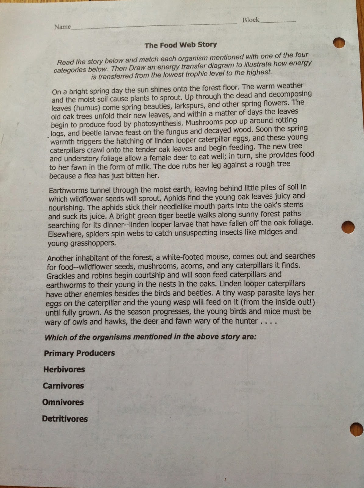 Snow day cast picture