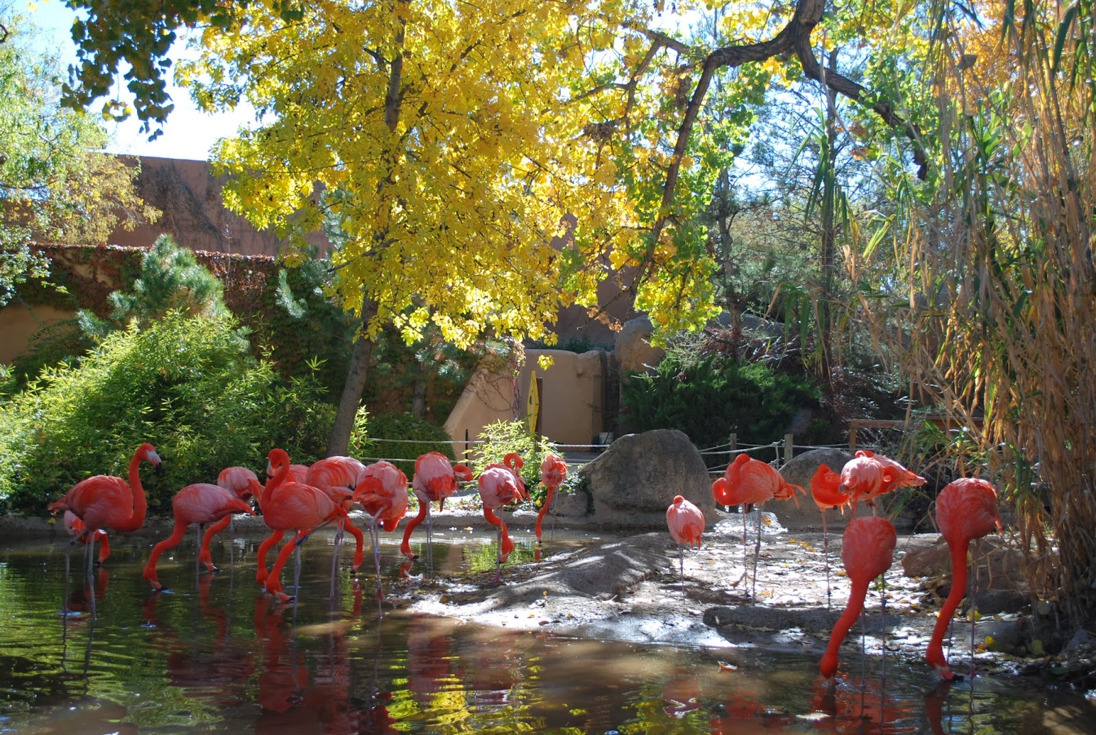 Sarah Smiles Albuquerque Zoo