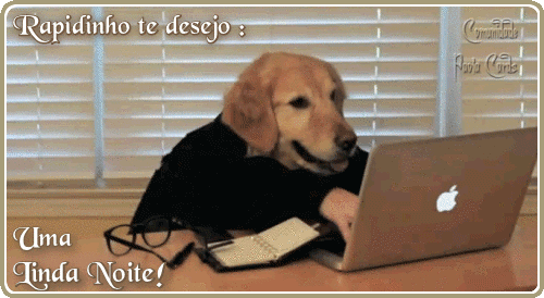 252835_1019052528352305402071.gif