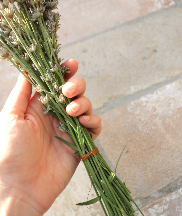 How To DIY Dried Lavender Bunches 17 Apart