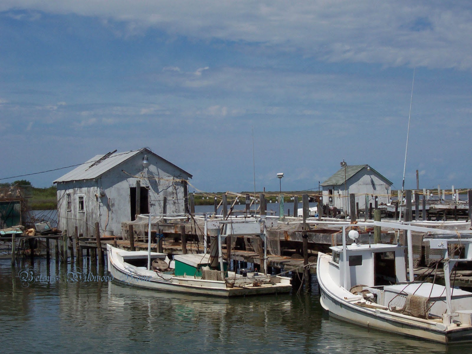 Betsy's Wildwood Home Tangier Island 1