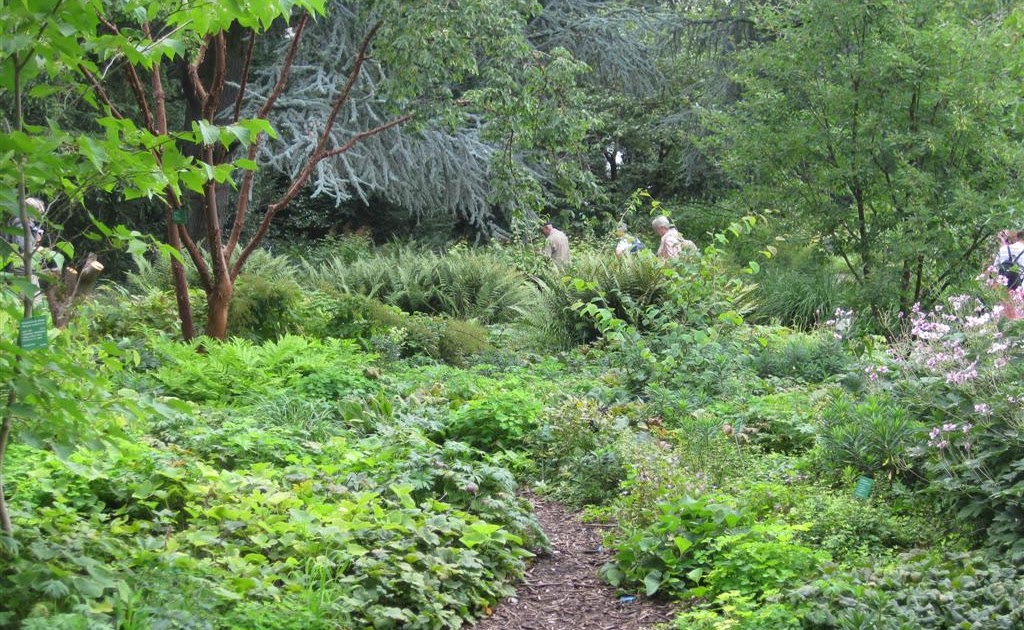 Single waldershof