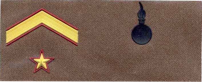 COLECCIONISMO DE PARCHES Y EMBLEMAS MILITARES: E.T ... COLECCIONISMO DE PARCHES Y EMBLEMAS MILITARES: E.T ...