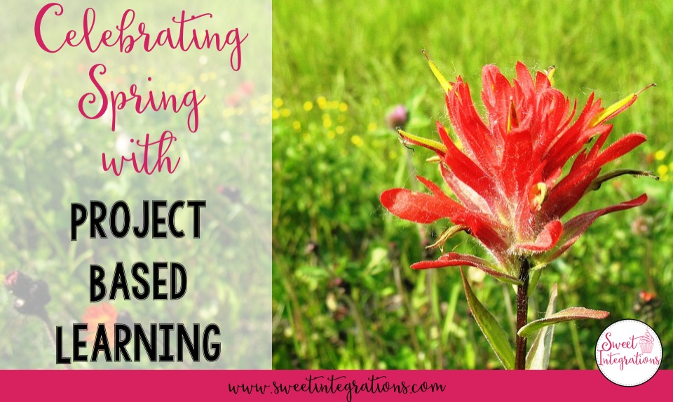 Spring Project Based Learning is a great, hands-on way to get your students thinking about and solving real world problems. This post shows you PBL units about the environment, endangered species, and economics. These will work great for your upper elementary 3rd, 4th, or 5th grade classroom or home school students. You'll be covering the curriculum standards AND 21st Century learning skills. What more could you want? {third, fourth, fifth graders, springtime}