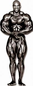 BodyBuilding Exercises 101: Mr. Olympia Champions