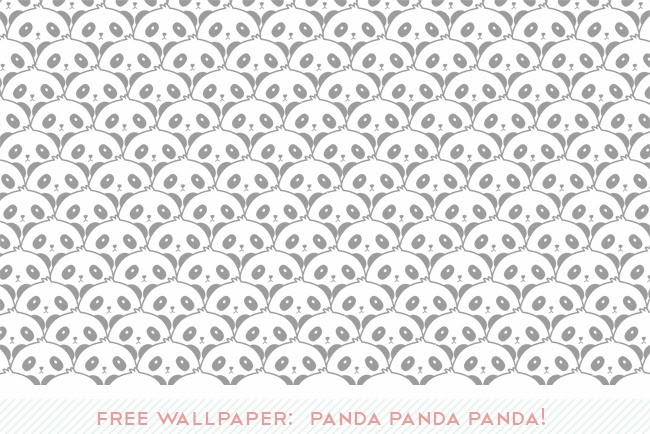 Mutter Kater Kind Nie Wieder Panda Augen Mit Dem Makeup
