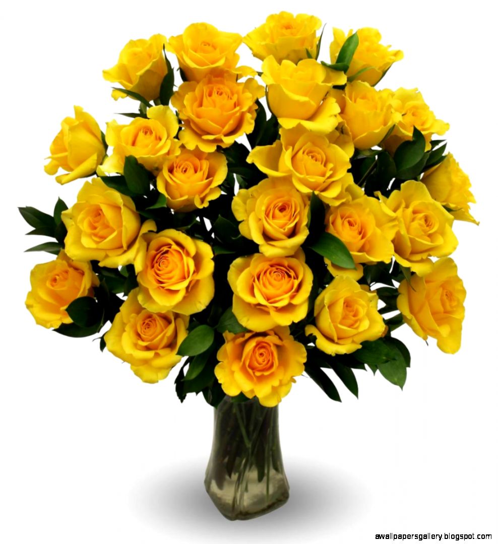 Images Of Yellow Roses