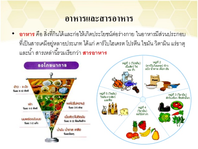 สารอาหารที่ควรได้รับ ประจำวัน THAI RDI