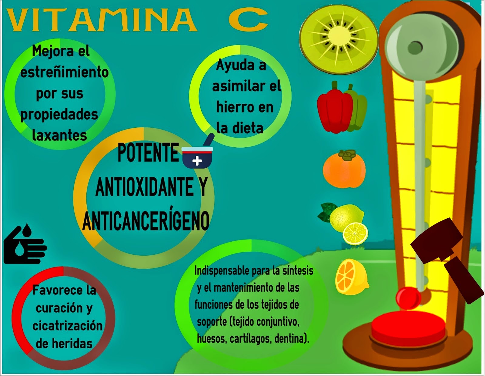 Infografía Vitamina C