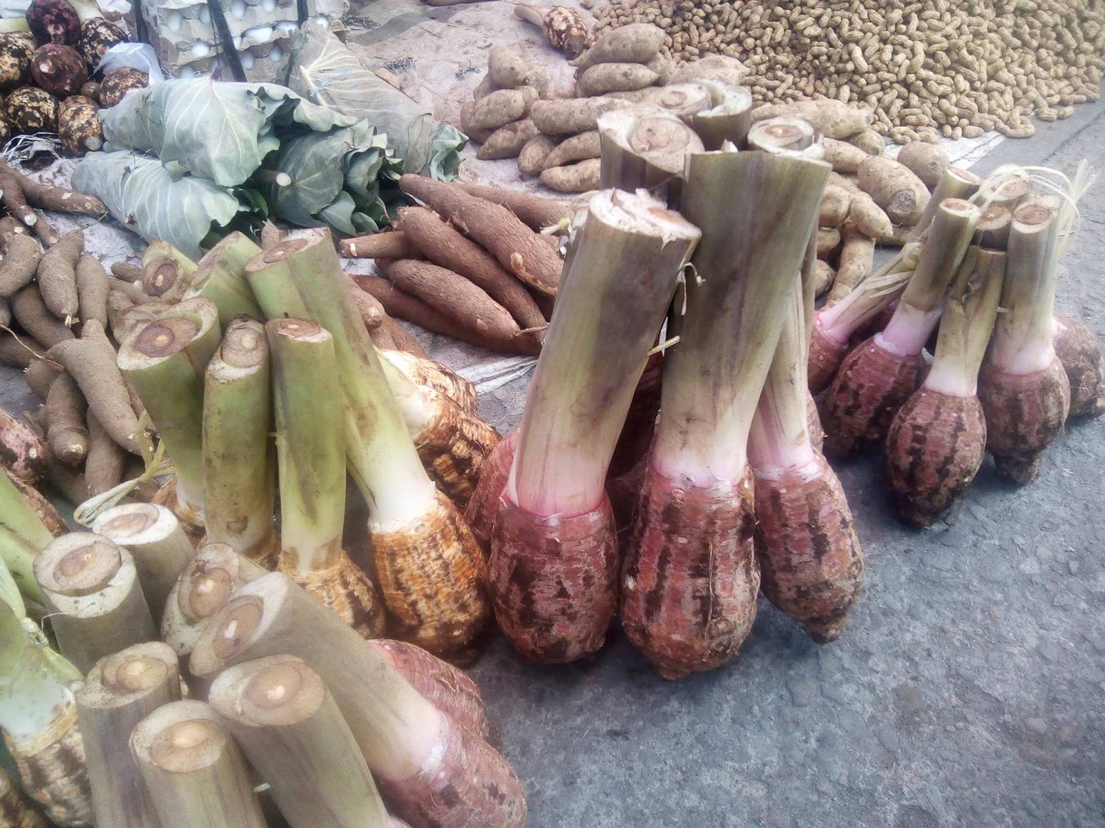 Glossary of Filipino Food Biliran delicacies