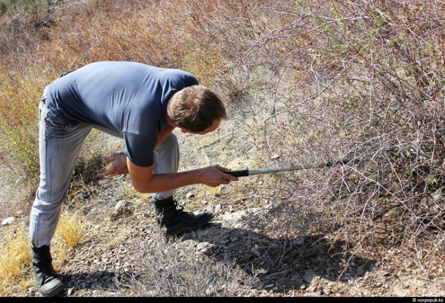 News Dumper How to catch snakes