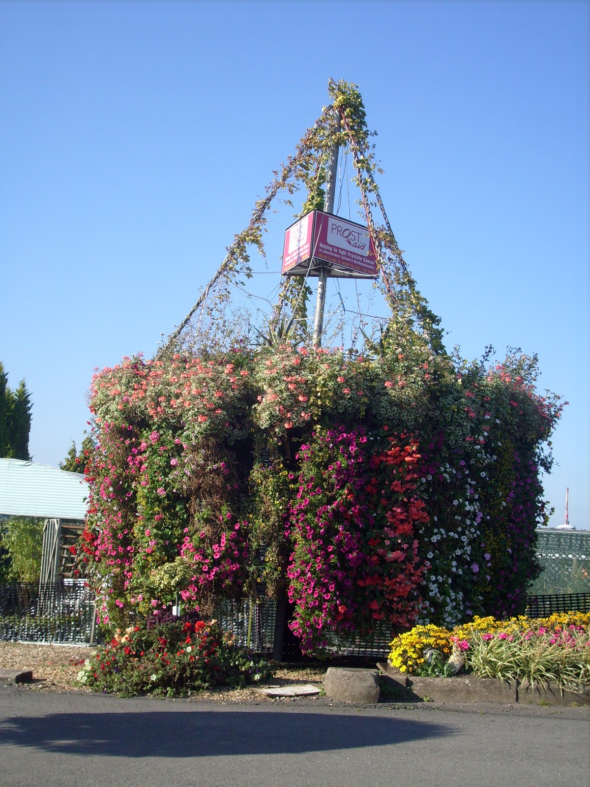 Our World Giant Hanging Baskets