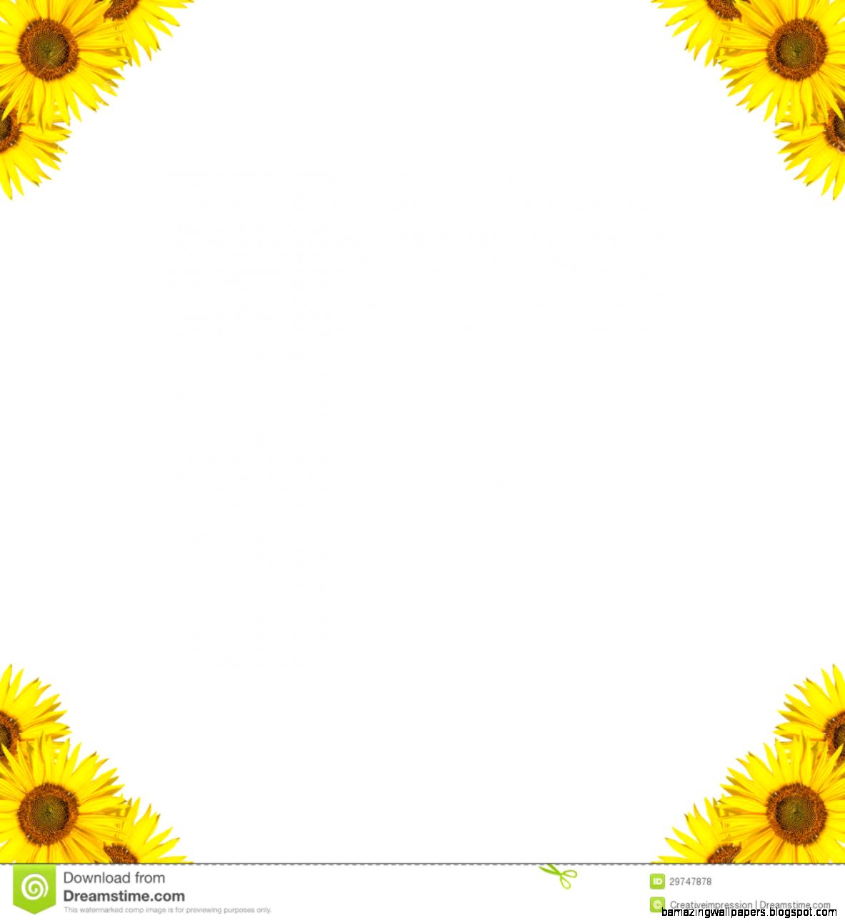 Sunflower Border Design | Amazing Wallpapers