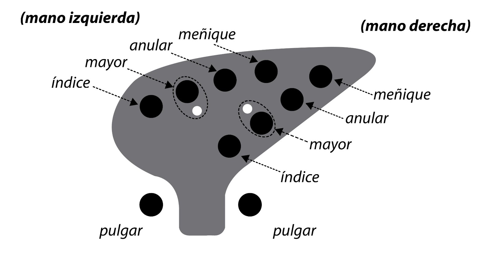 Ocarina de 10 y 12 hoyos.